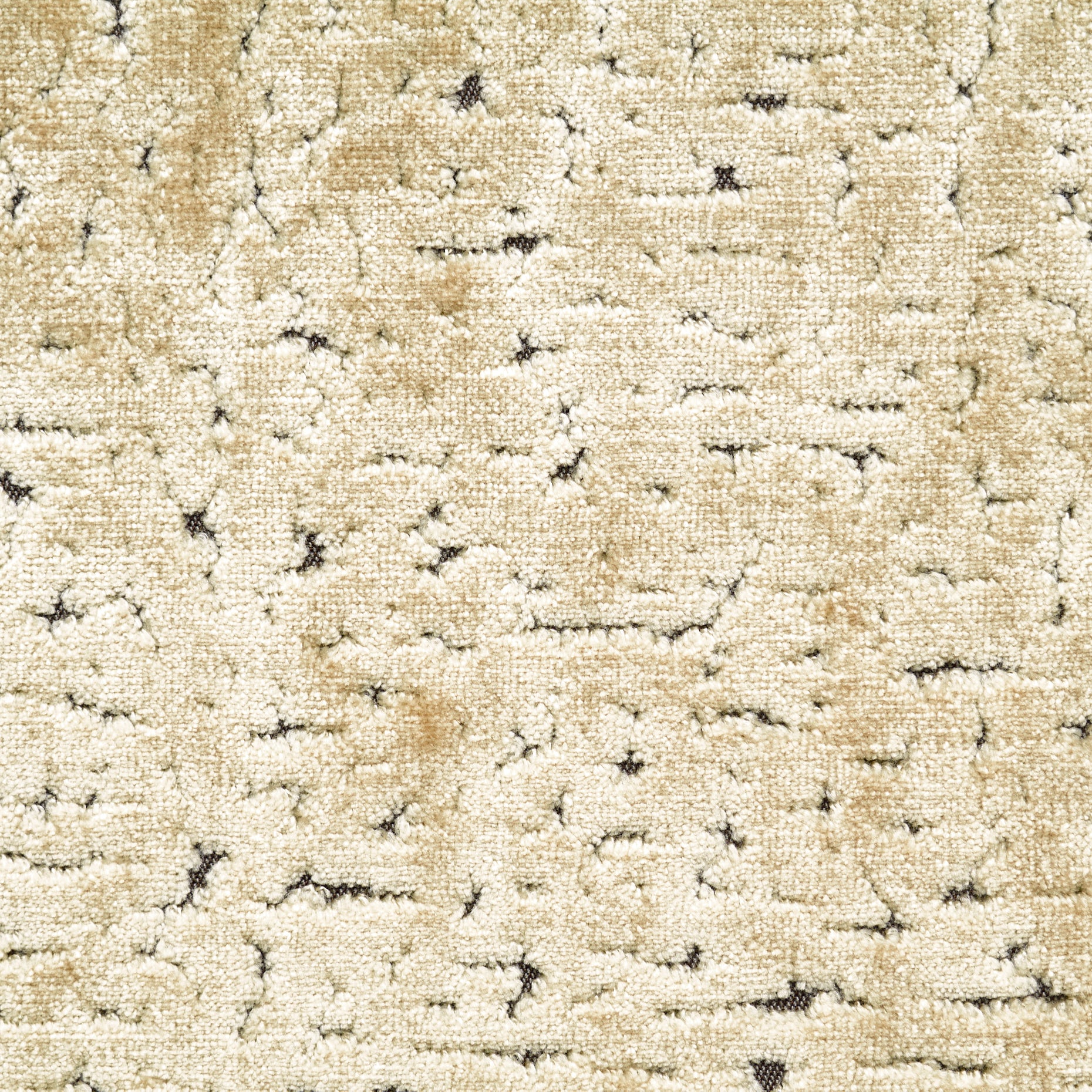 Viscose Velvet - Oyster Gray textile image 2
