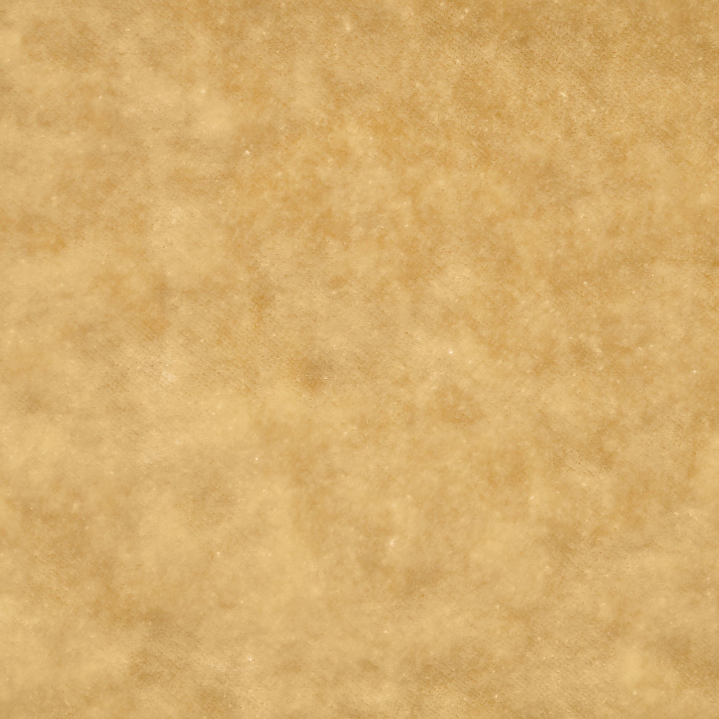 Viscose Cotton Velvet - Almond Buff textile image 2
