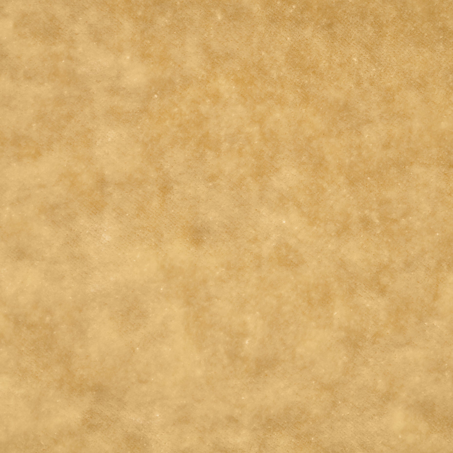 Viscose Cotton Velvet - Almond Buff textile image 2