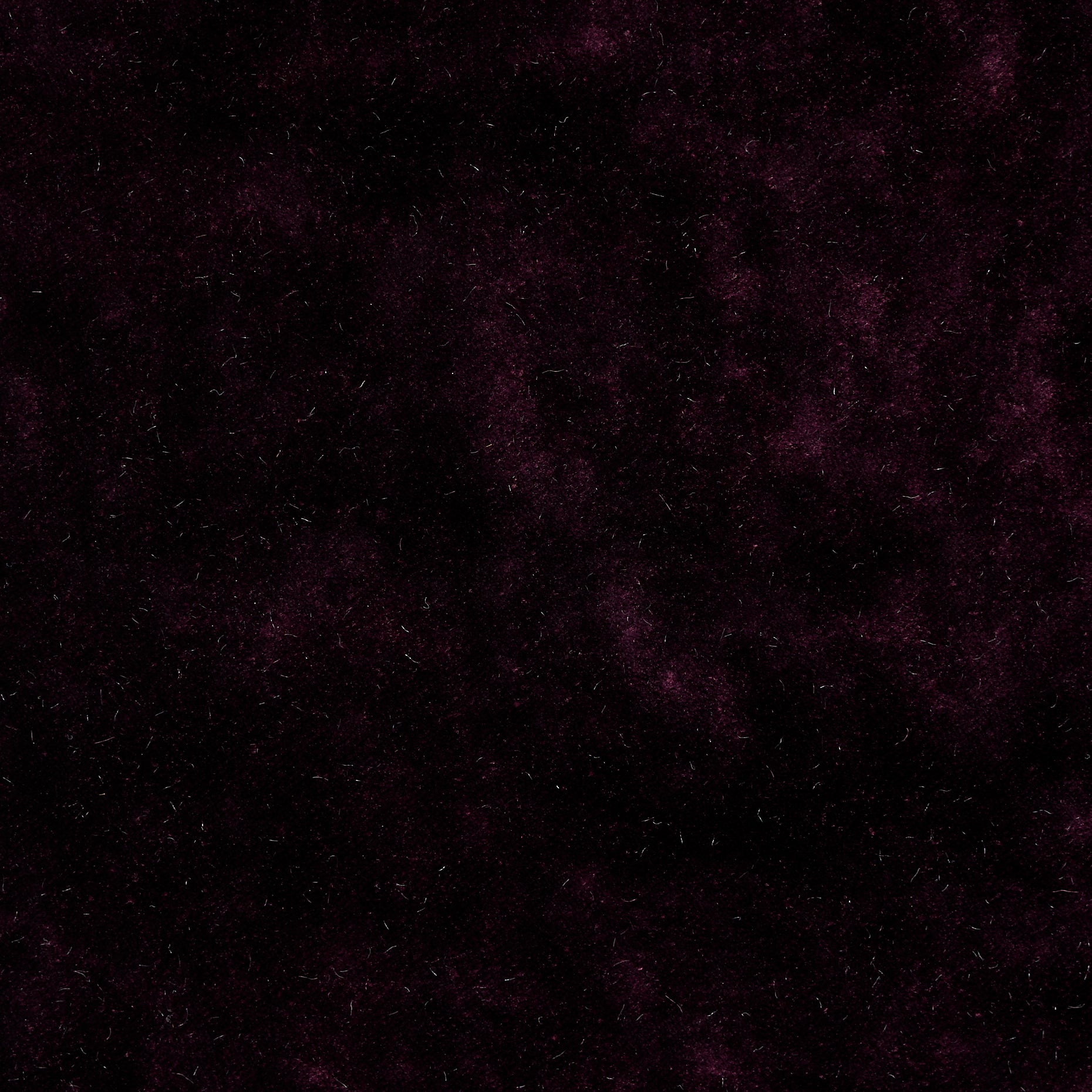 Viscose Cotton Velvet - Fig textile image 2