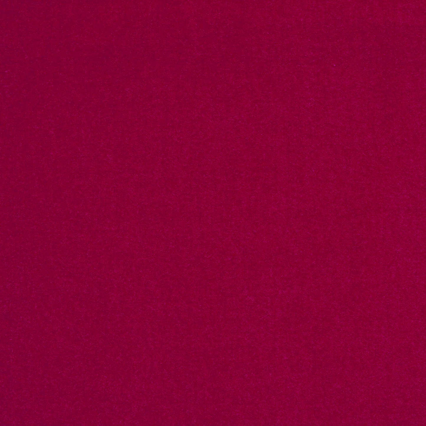 Cotton Velvet - Salsa textile image 2