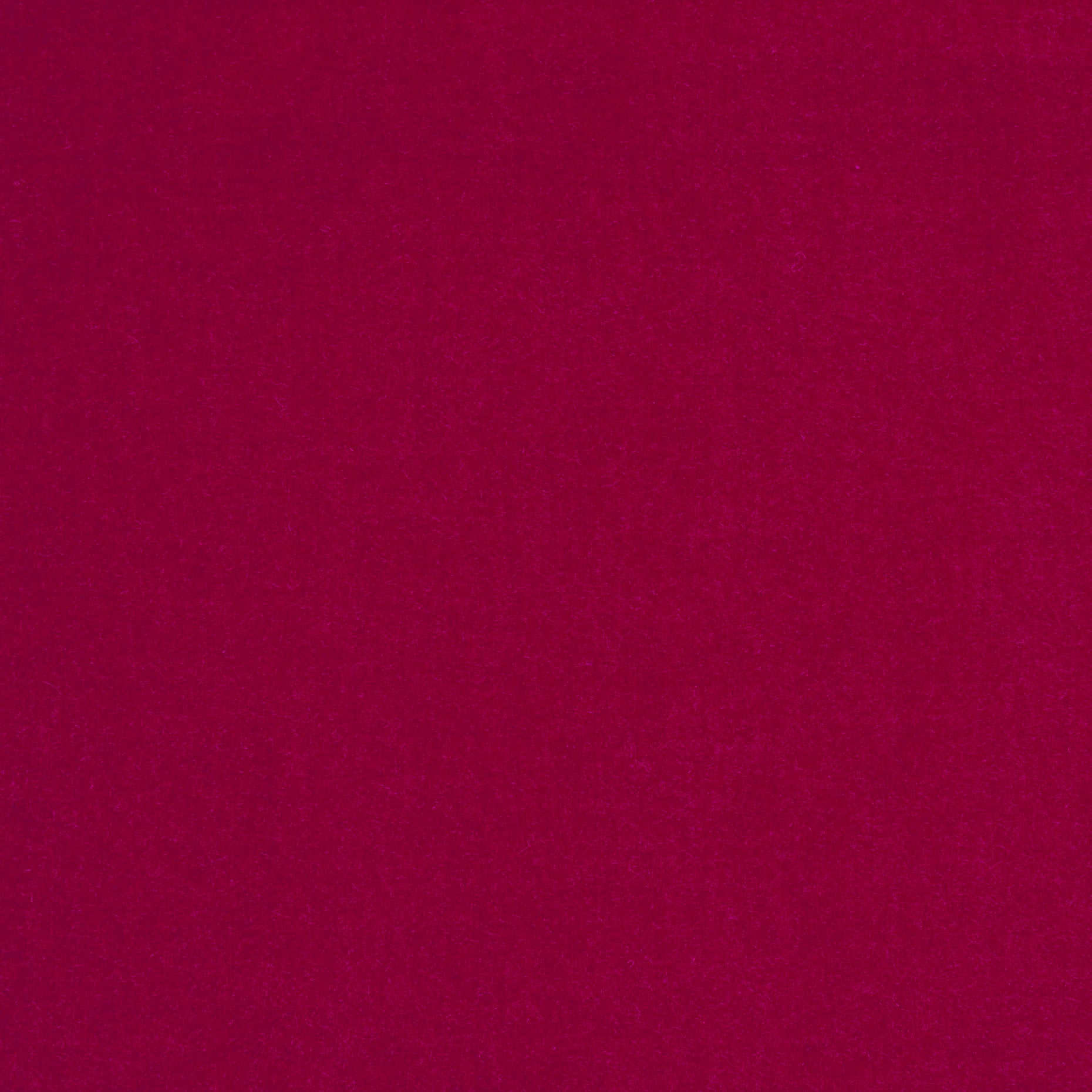 Cotton Velvet - Salsa textile image 2