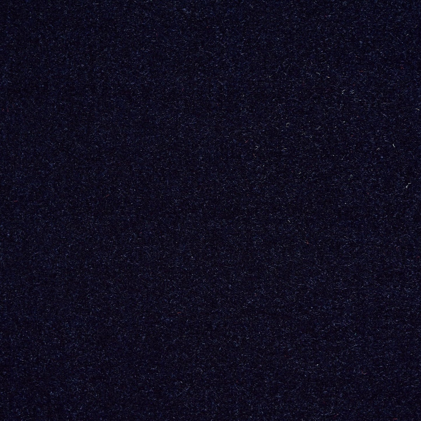 Cotton Velvet - After Midnight textile image 2