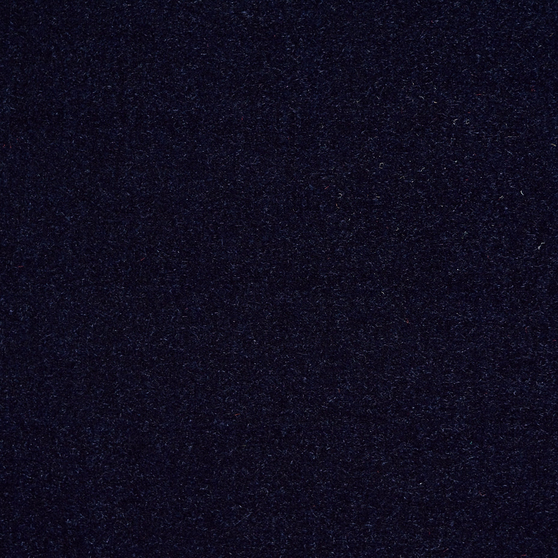 Cotton Velvet - After Midnight textile image 2