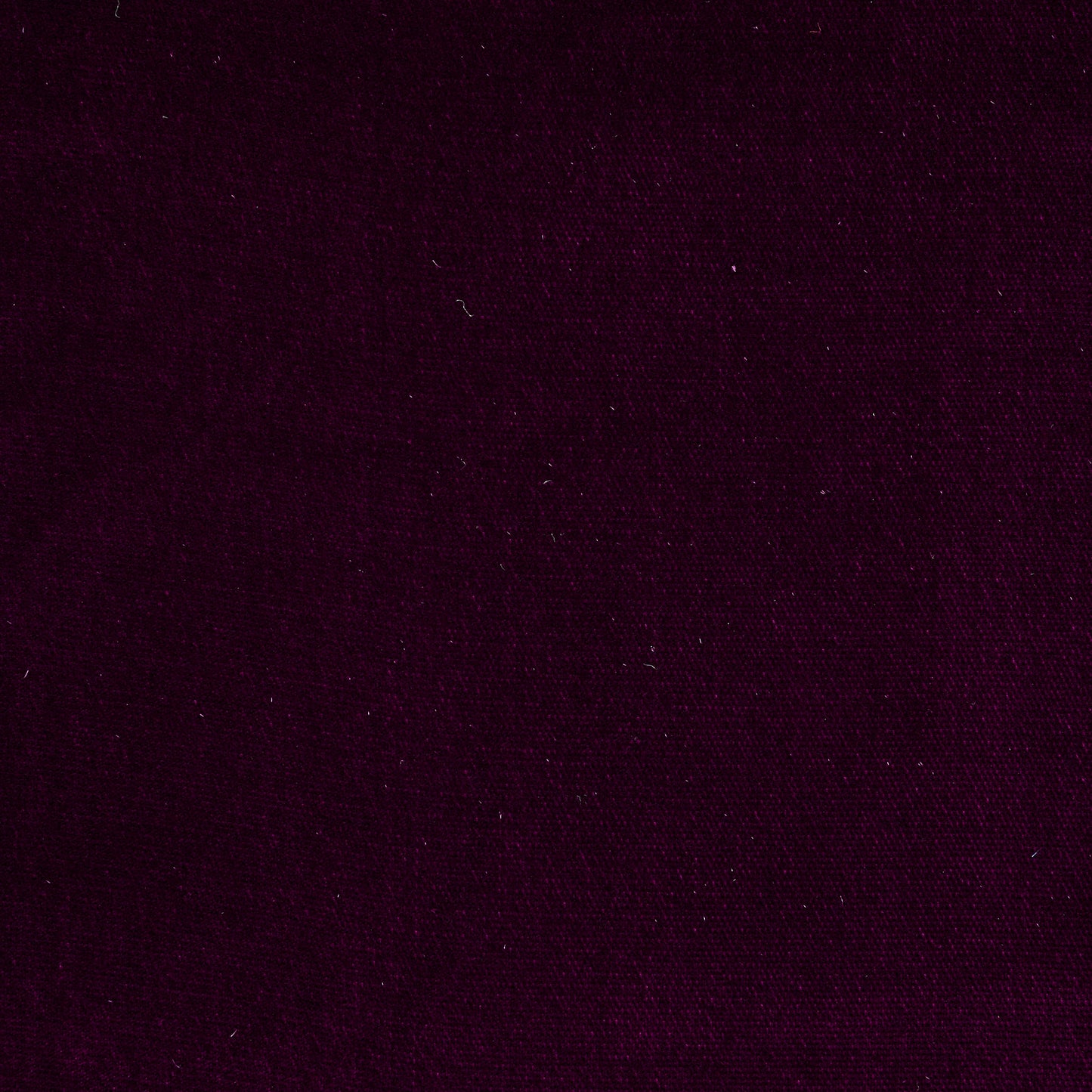 Viscose Cupro Velvet - Port Royale textile image 2