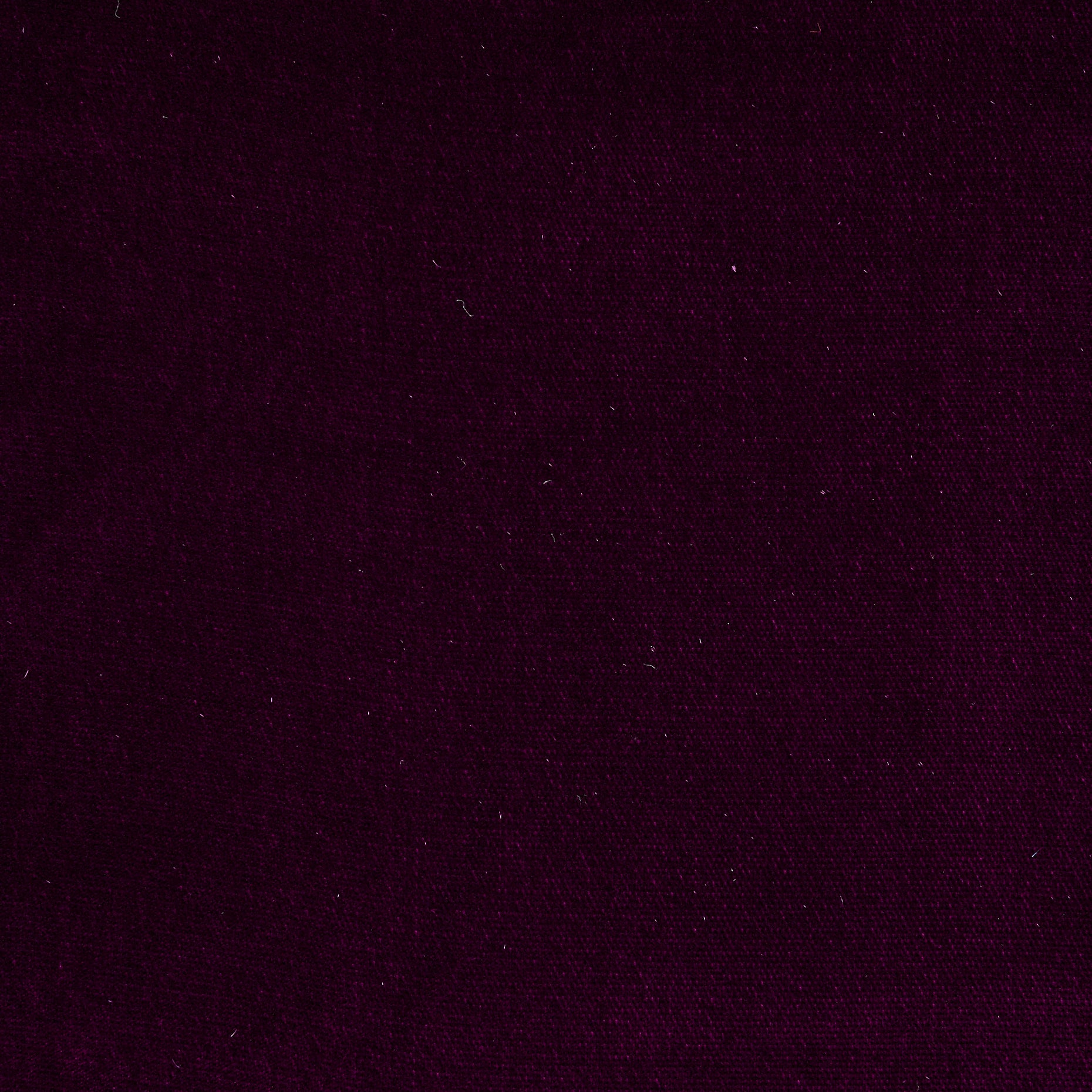 Viscose Cupro Velvet - Port Royale textile image 2