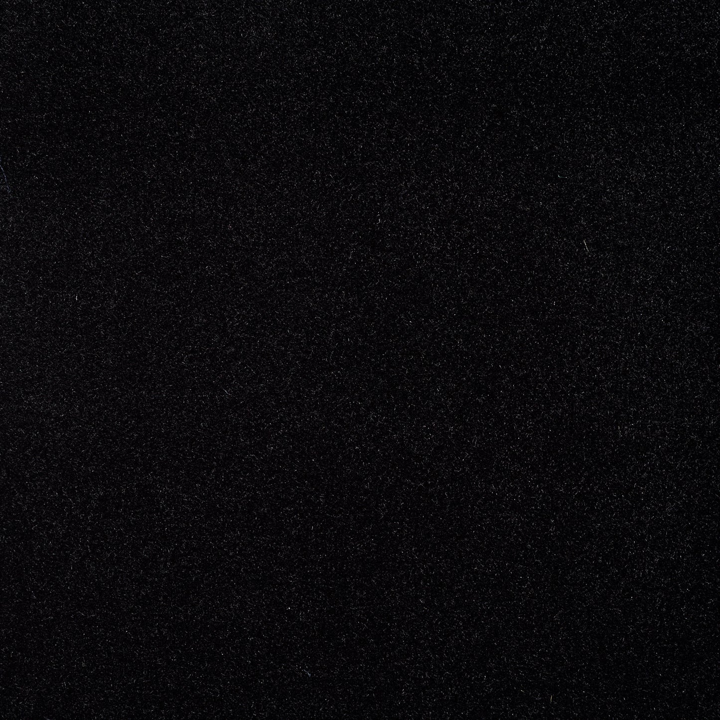 Cotton Velvet - Raven Black textile image 2