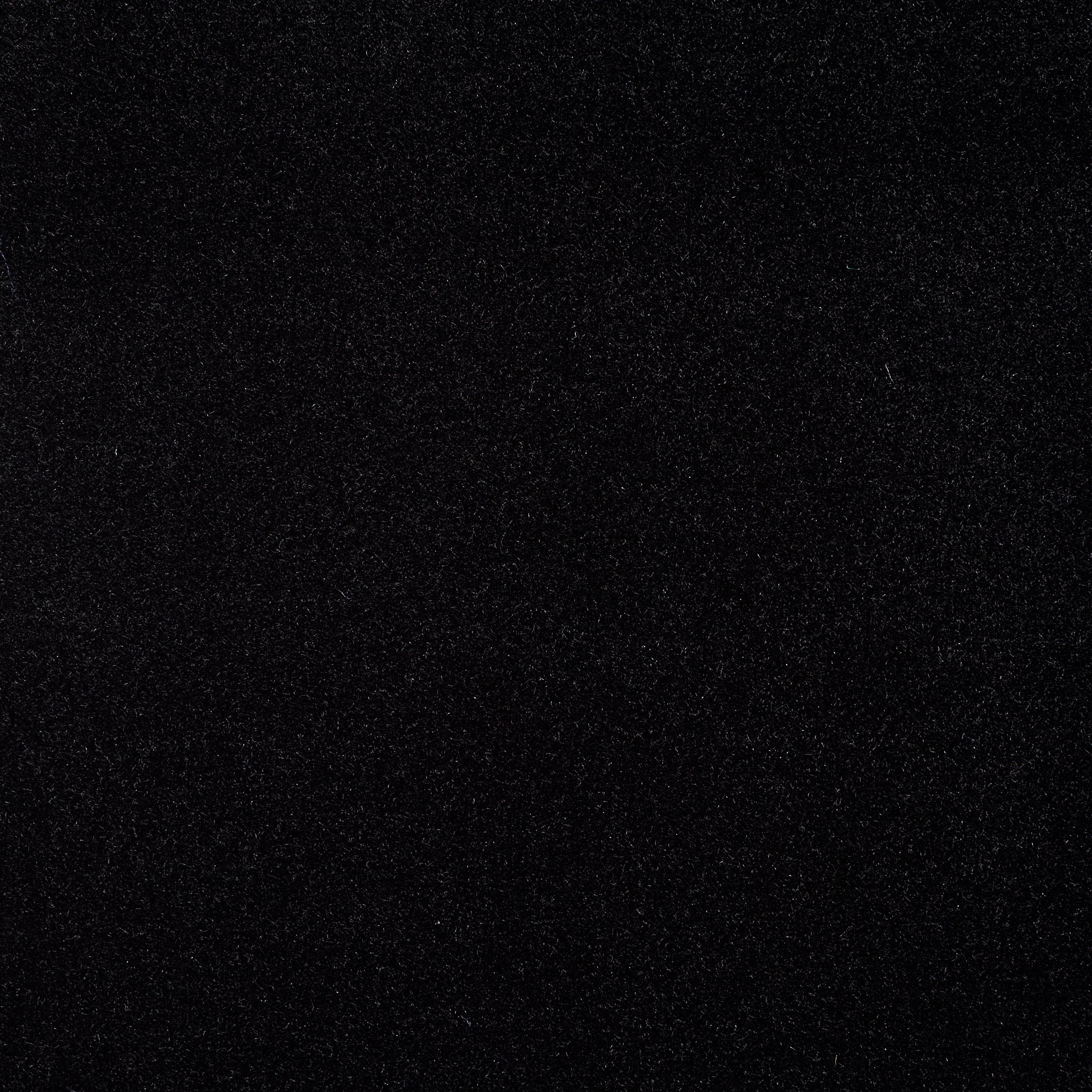 Cotton Velvet - Raven Black textile image 2