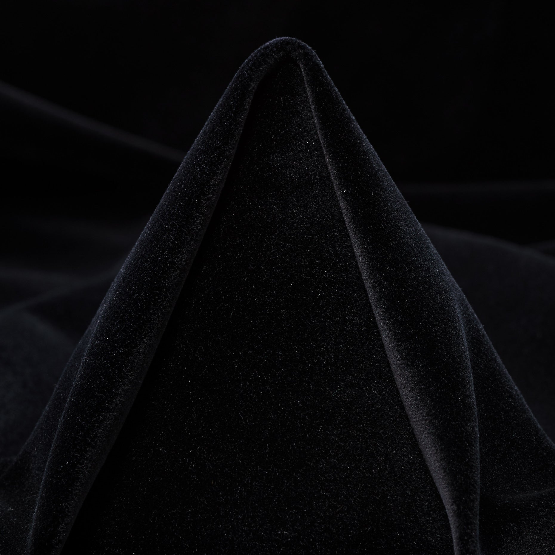 Cotton Velvet - Raven Black textile image 1