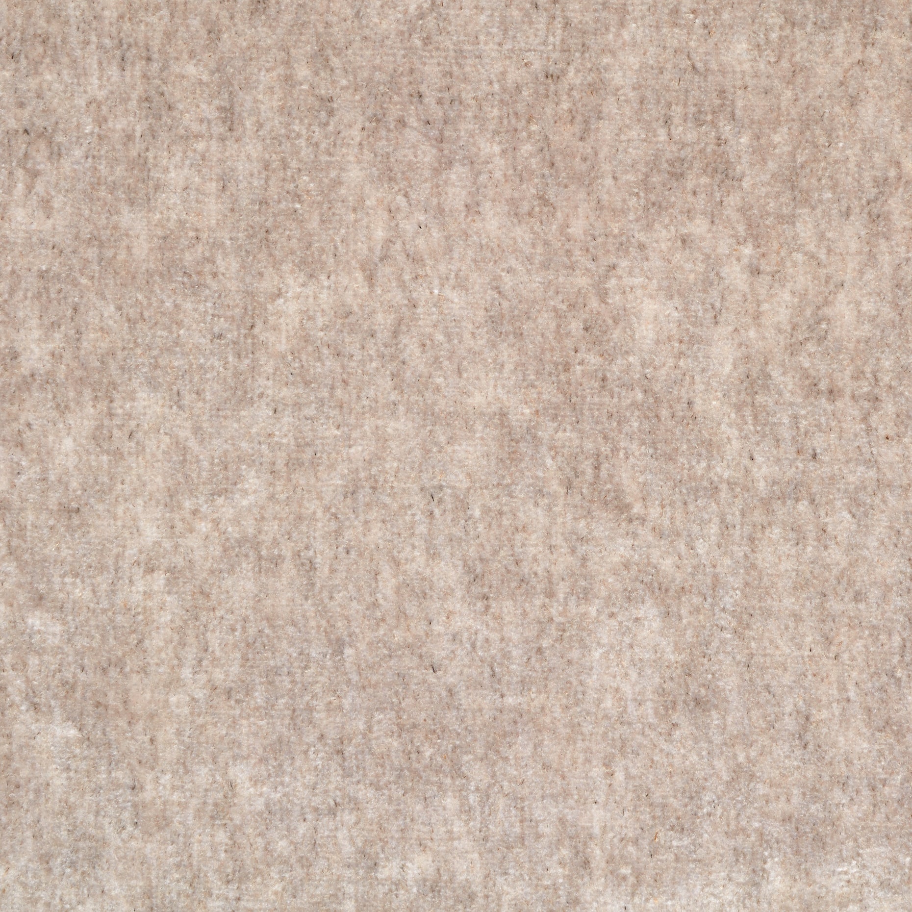 Cotton Viscose Velvet - Mushroom textile image 2