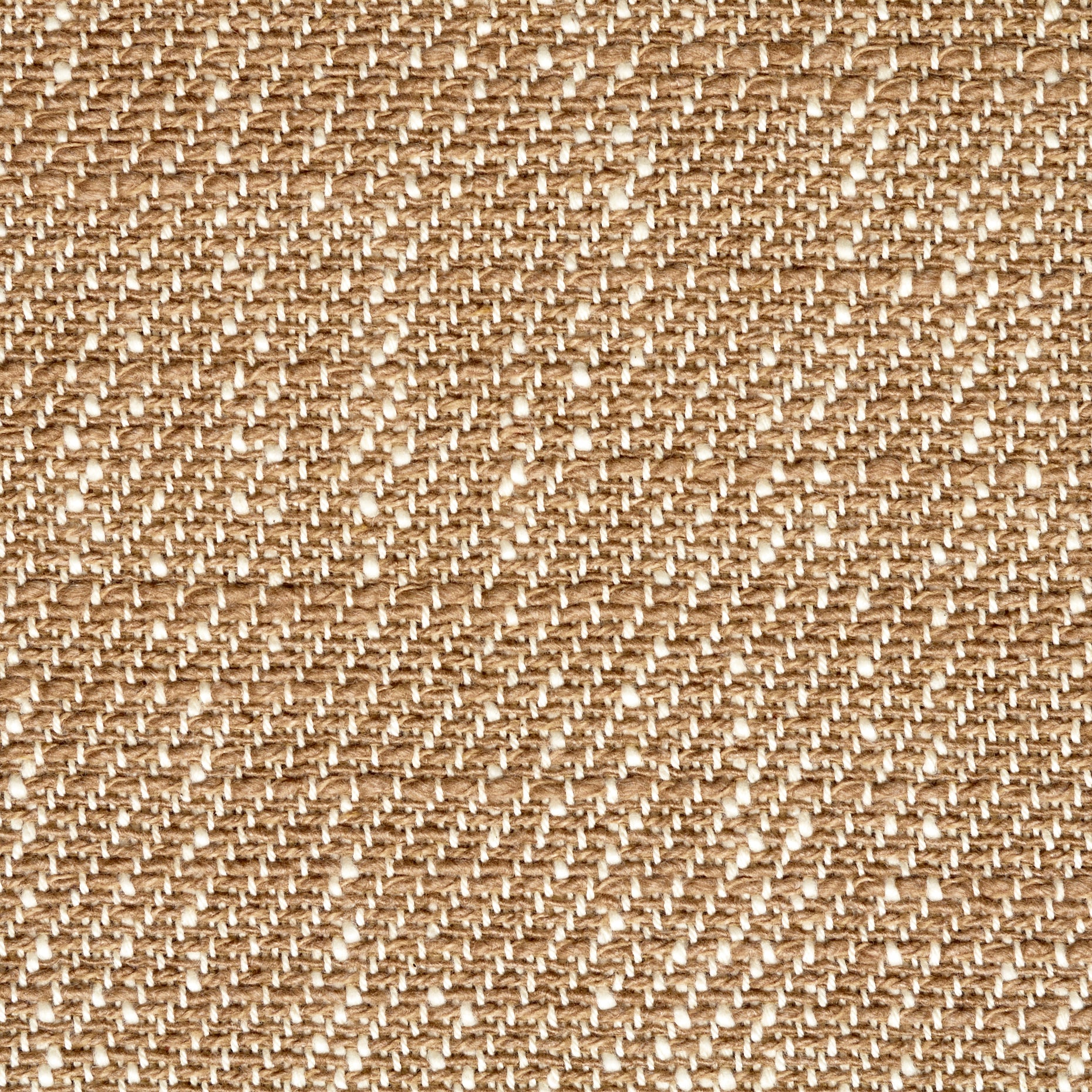 Textured Chennile Cotton - Light Taupe & Antique White textile image 2
