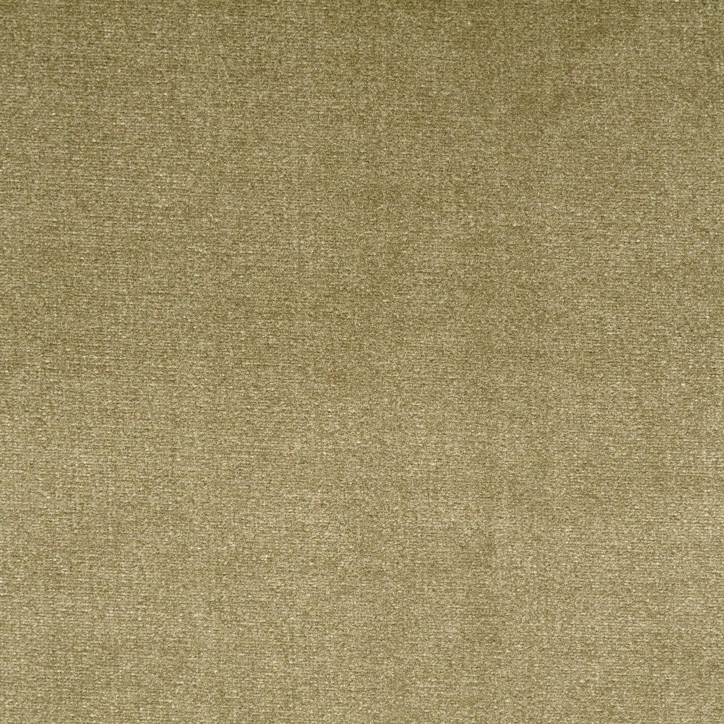 Modal Cotton Velvet - Moss Gray textile image 2