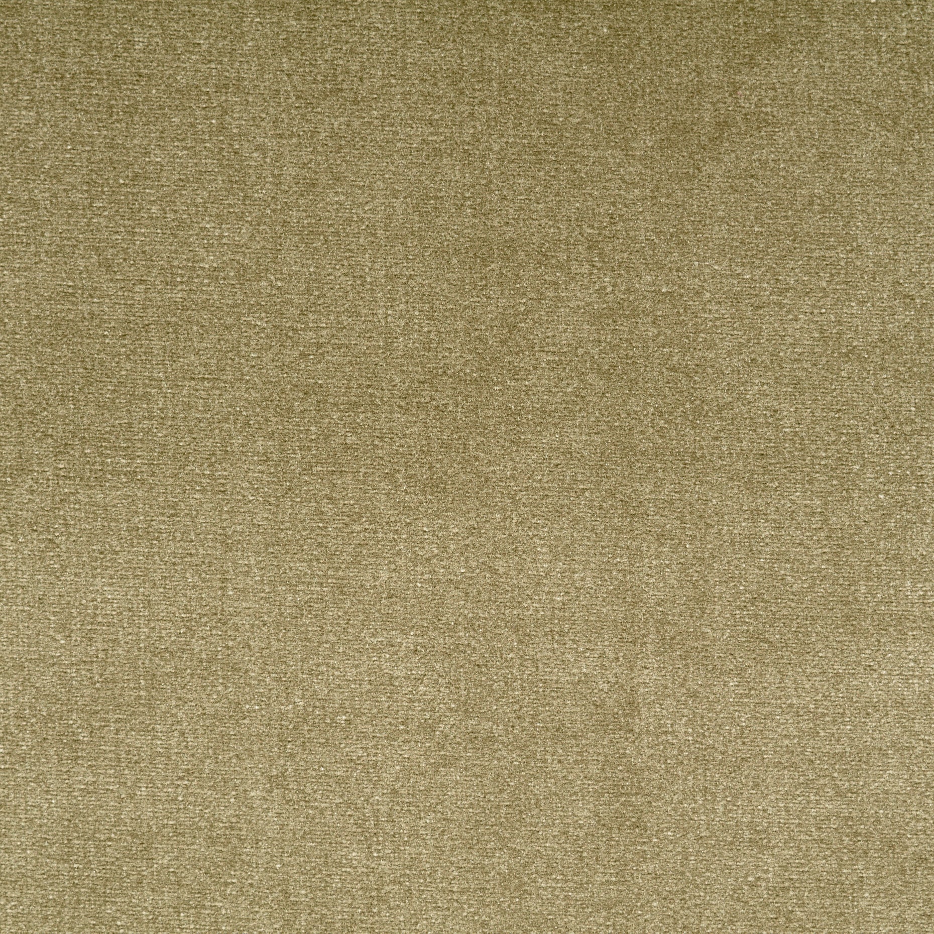 Modal Cotton Velvet - Moss Gray textile image 2