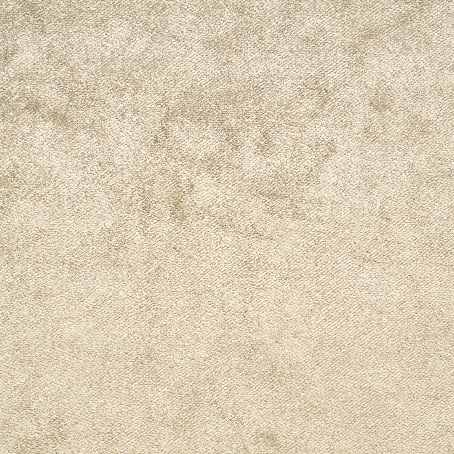 Viscose Cotton Velvet - Trench Coat textile image 1