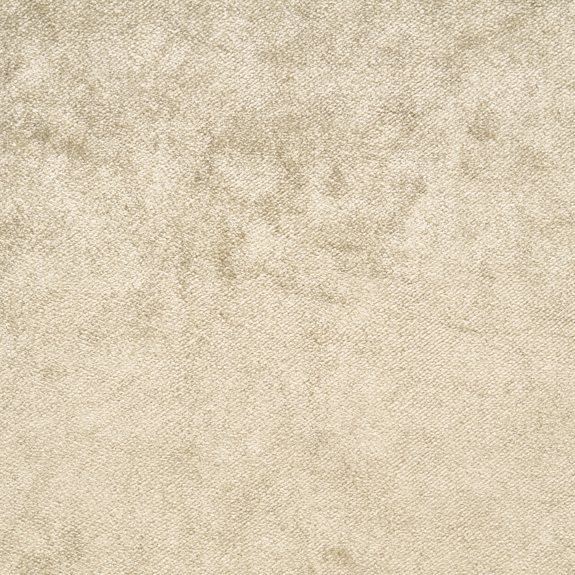 Viscose Cotton Velvet - Trench Coat textile image 1