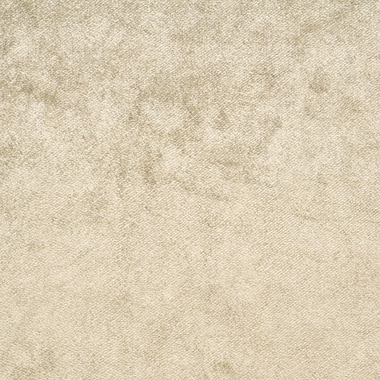 Viscose Cotton Velvet - Trench Coat textile image 1