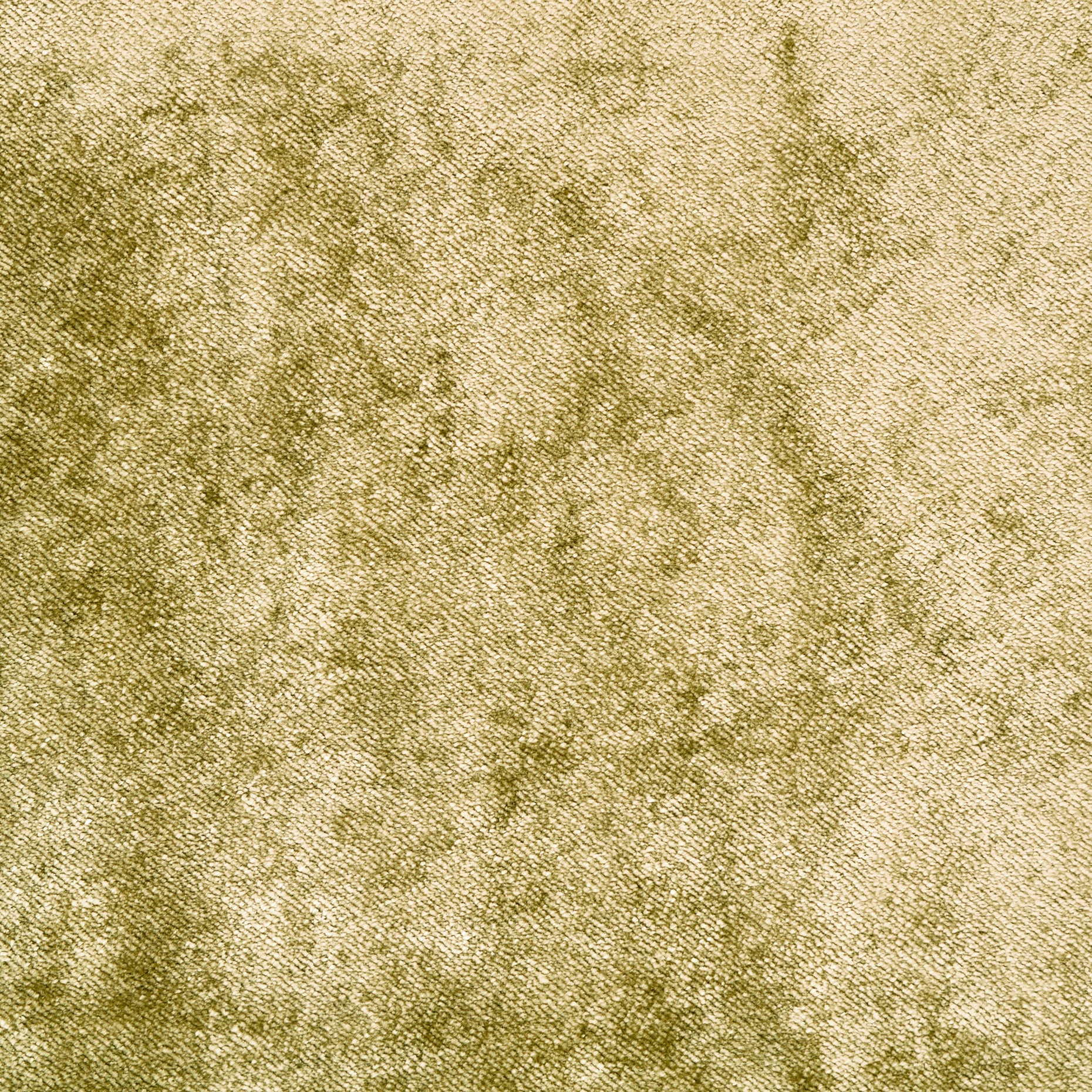 Viscose Cotton Velvet - Rich Gold textile image 1