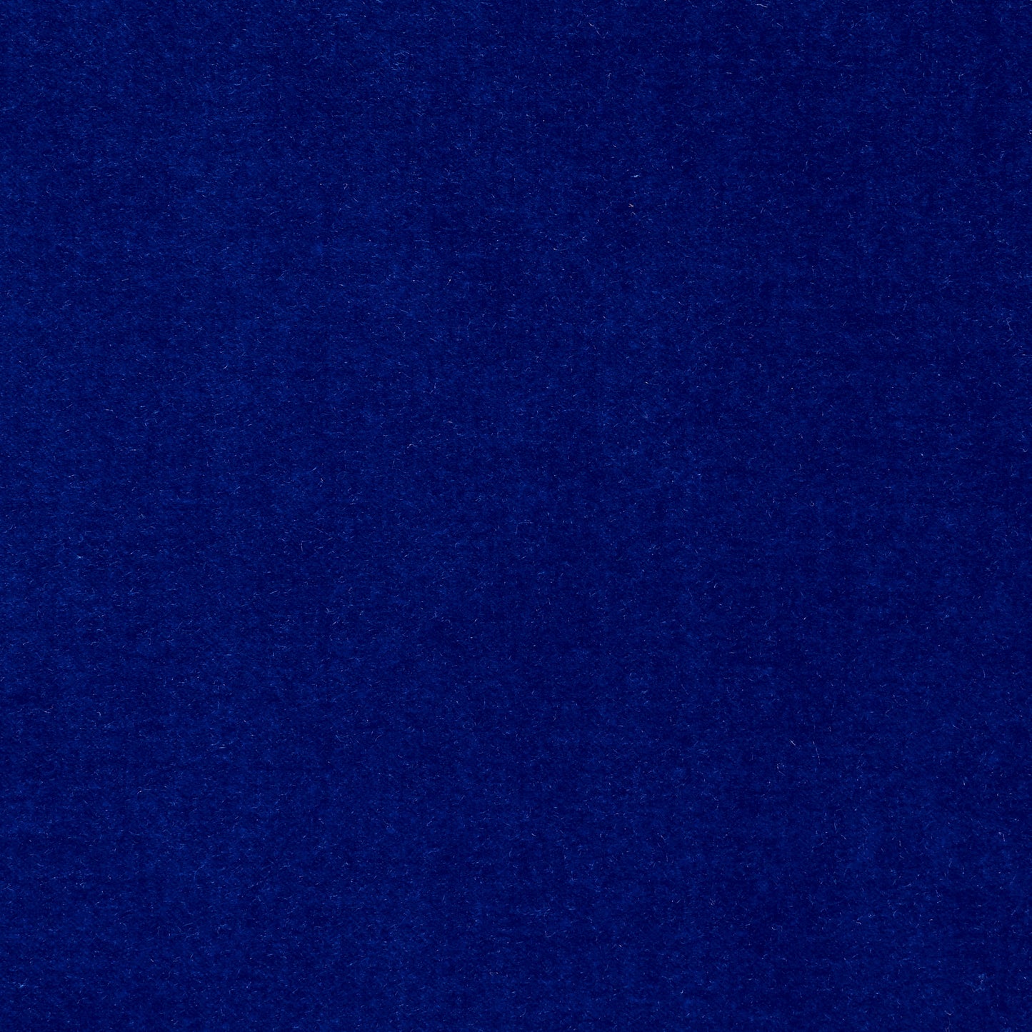 Cotton Velvet - True Blue textile image 2