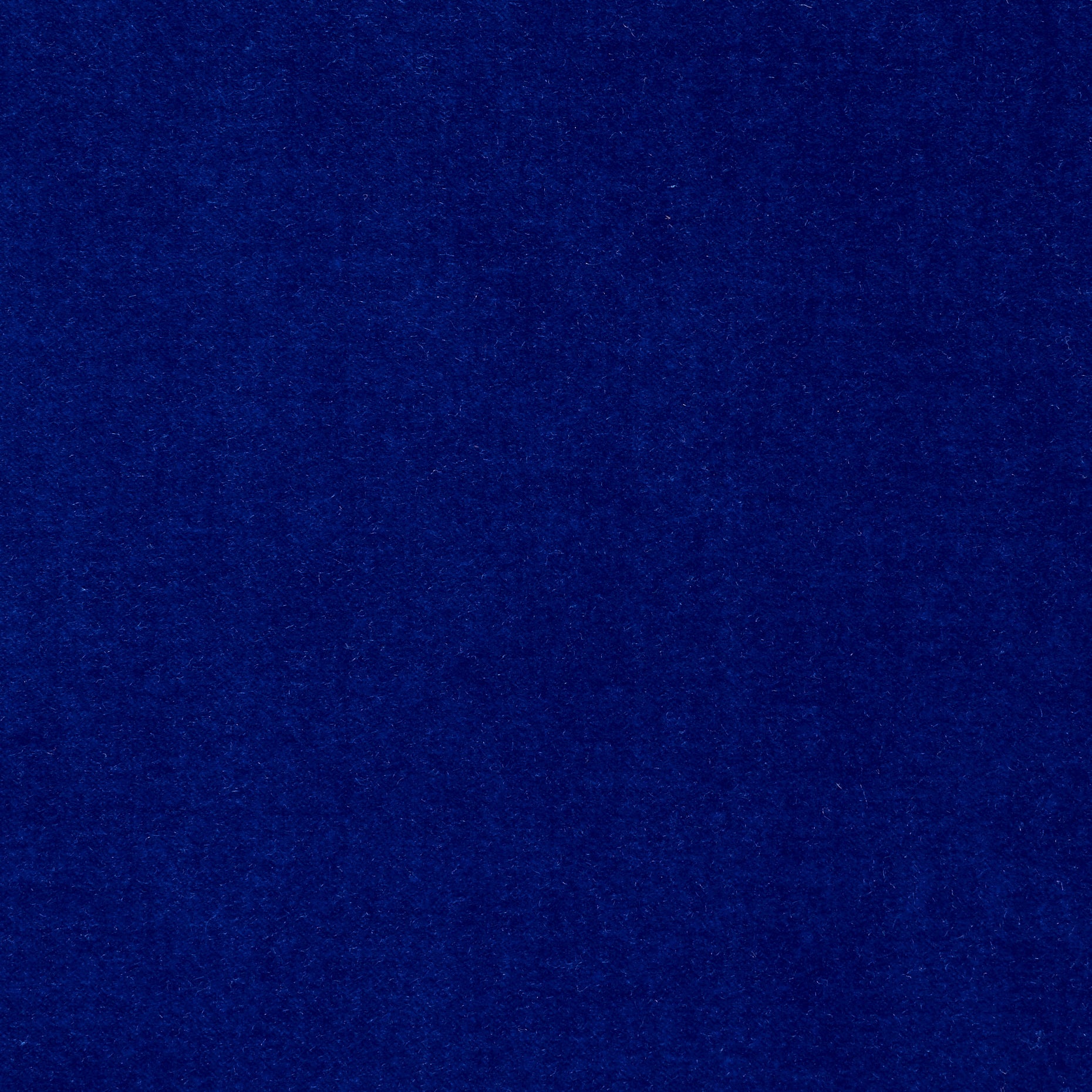 Cotton Velvet - True Blue textile image 2