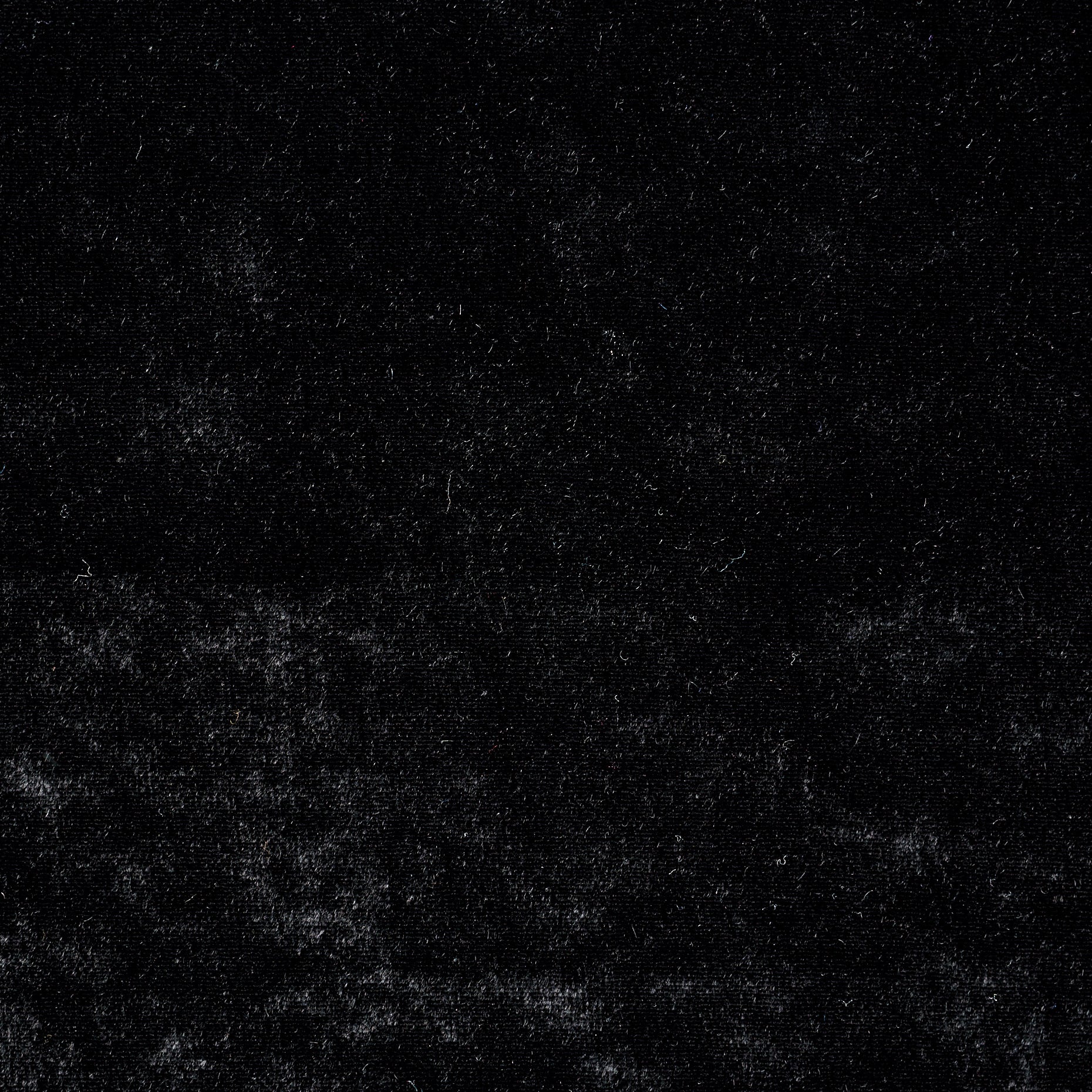 Velvet Viscose Jersey - Raven Black textile image 1