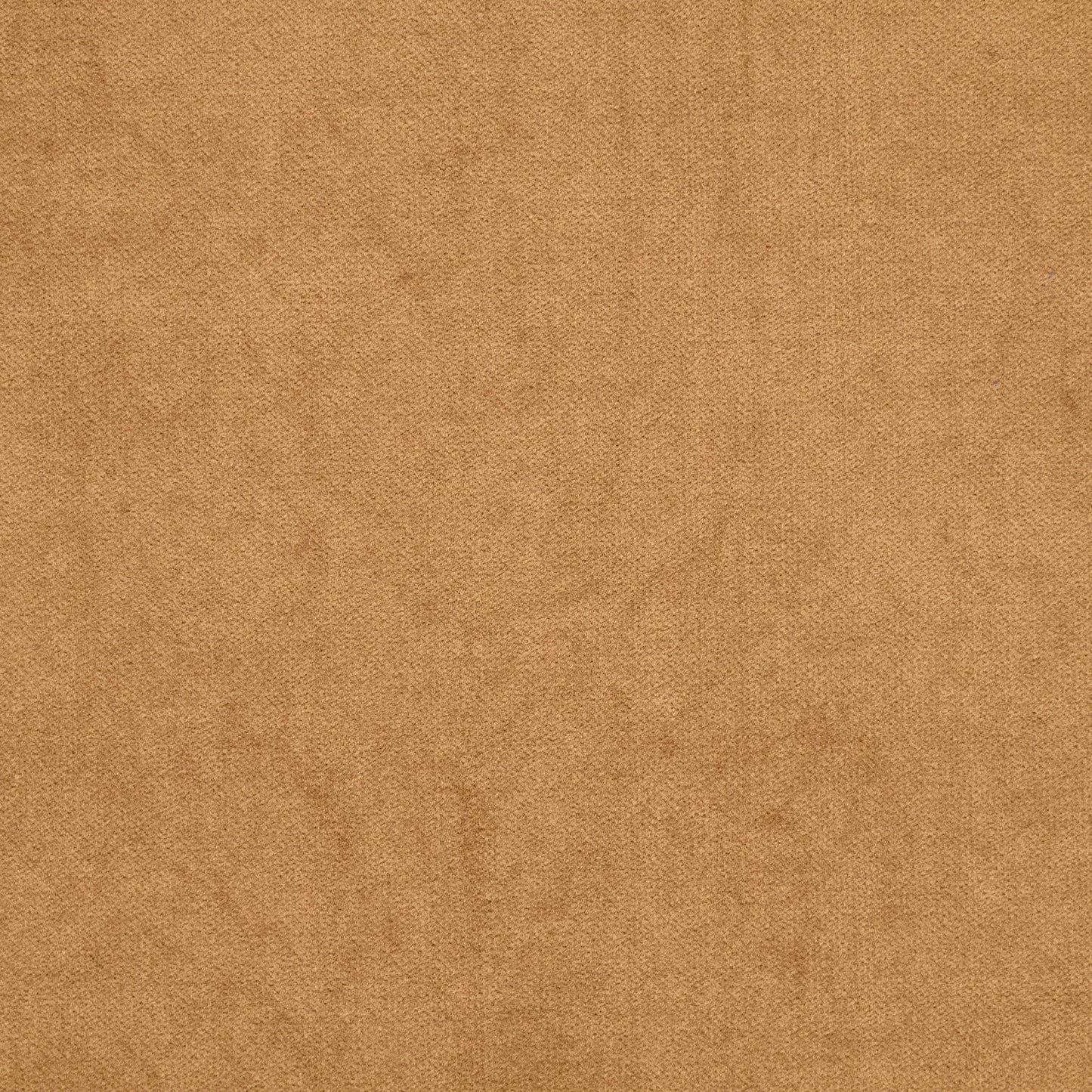 Cotton Velvet - Tan textile image 2