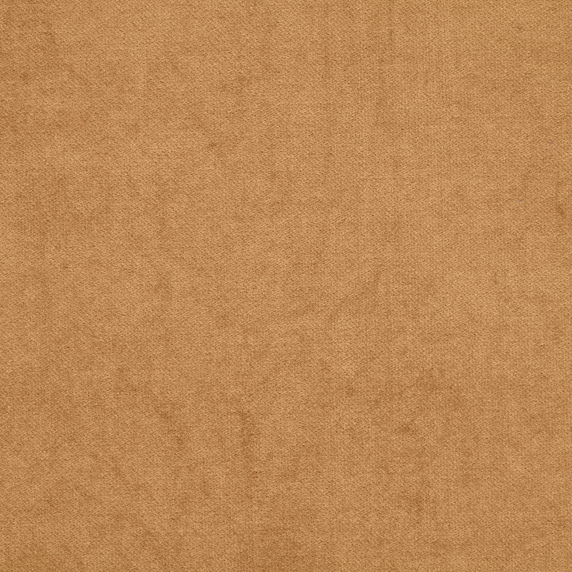 Cotton Velvet - Tan textile image 2