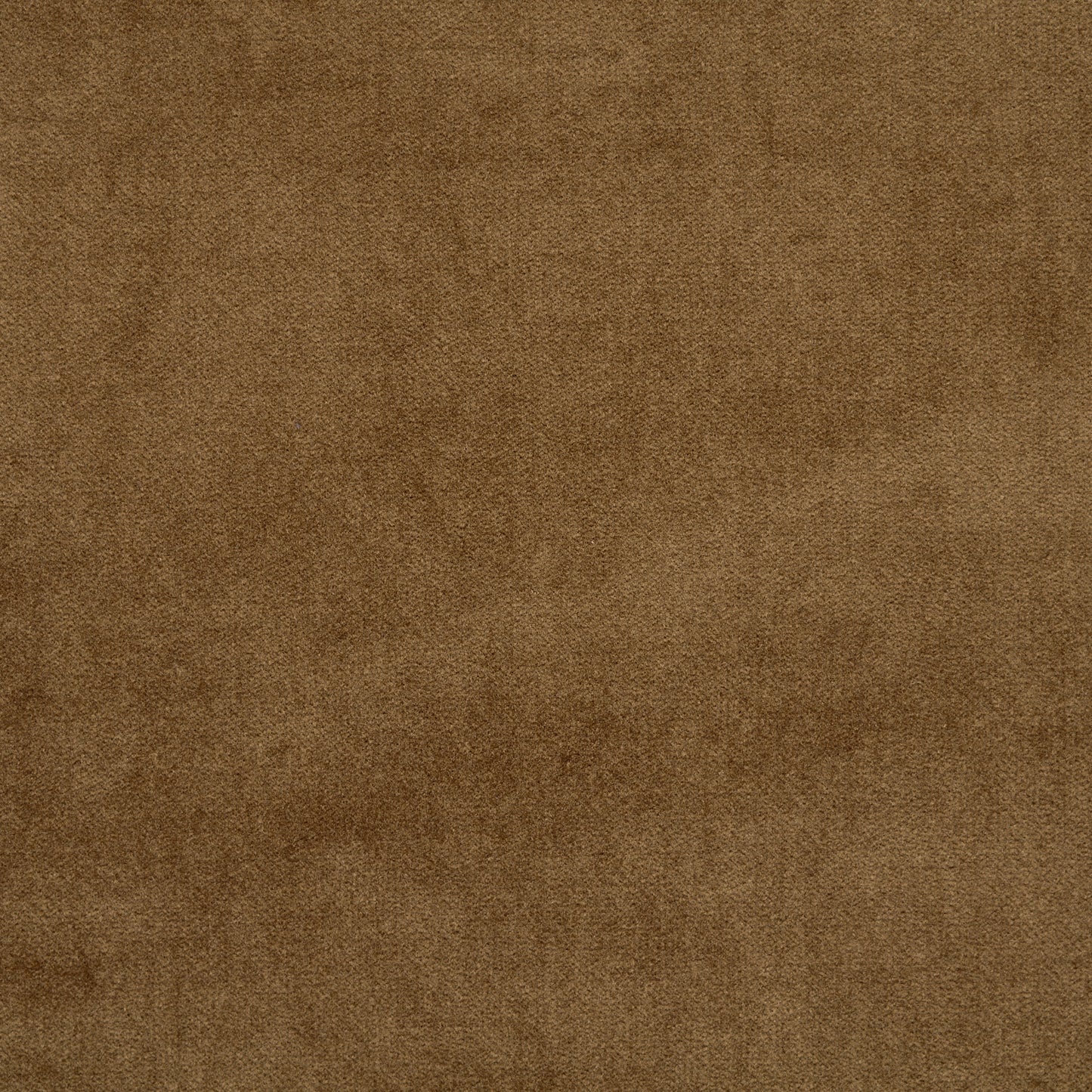 Cotton Velvet - Coca Mocha textile image 2