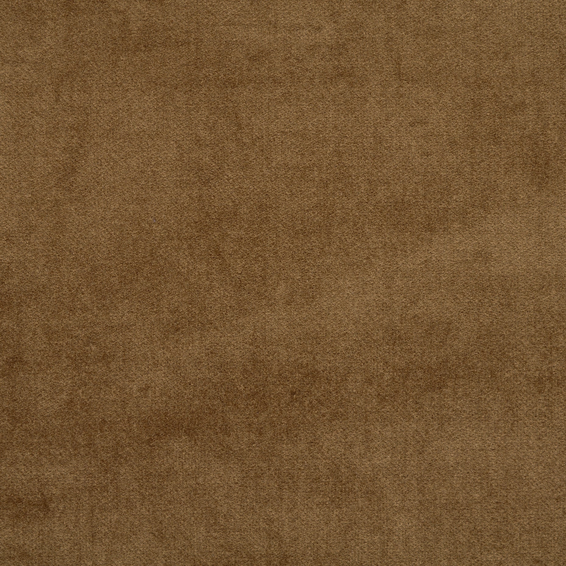 Cotton Velvet - Coca Mocha textile image 2