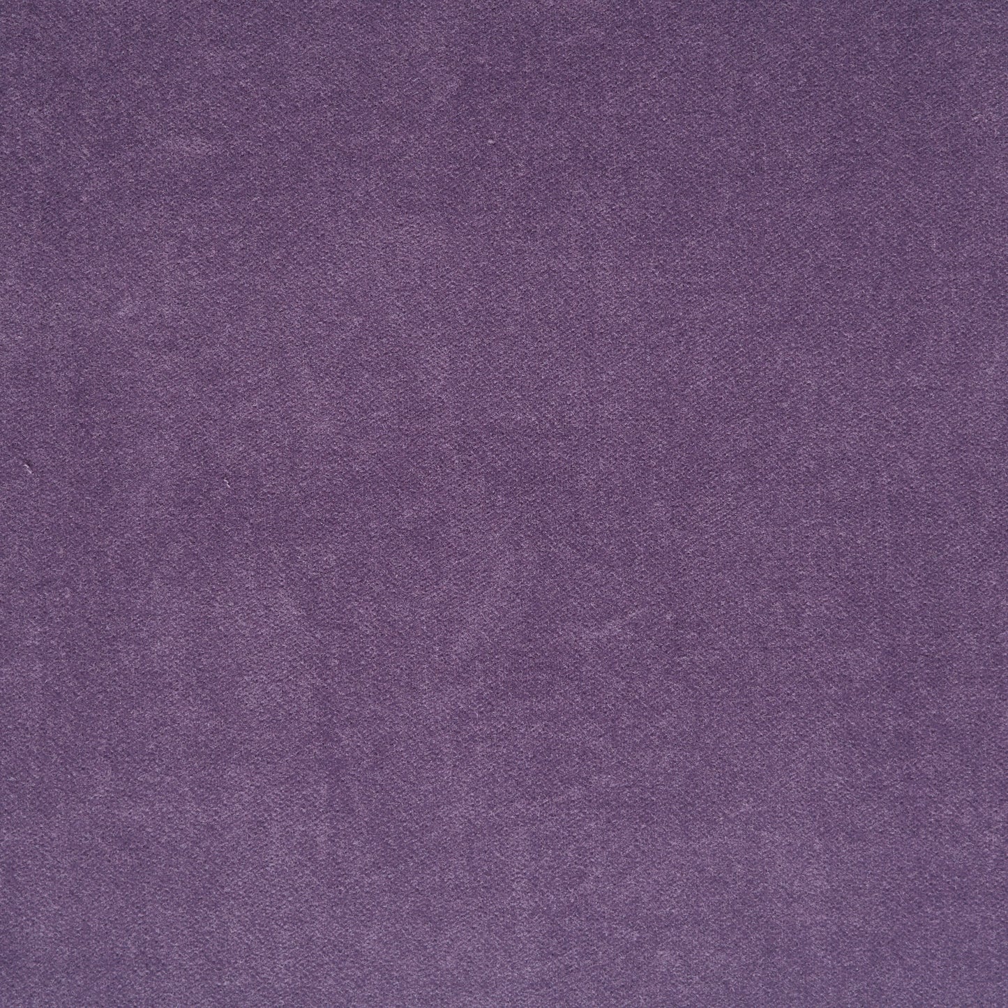 Cotton Velvet - Purple Ash textile image 2