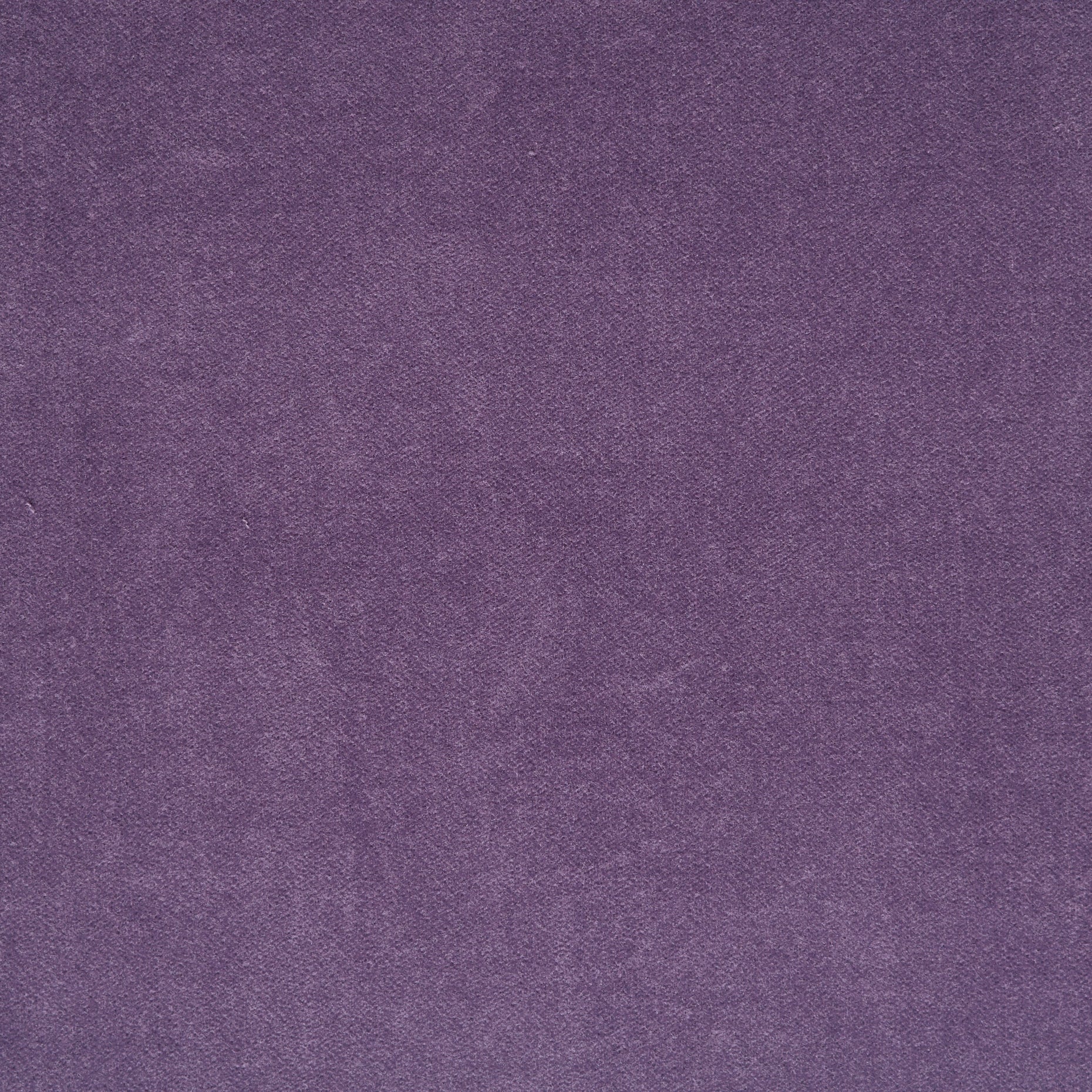 Cotton Velvet - Purple Ash textile image 2