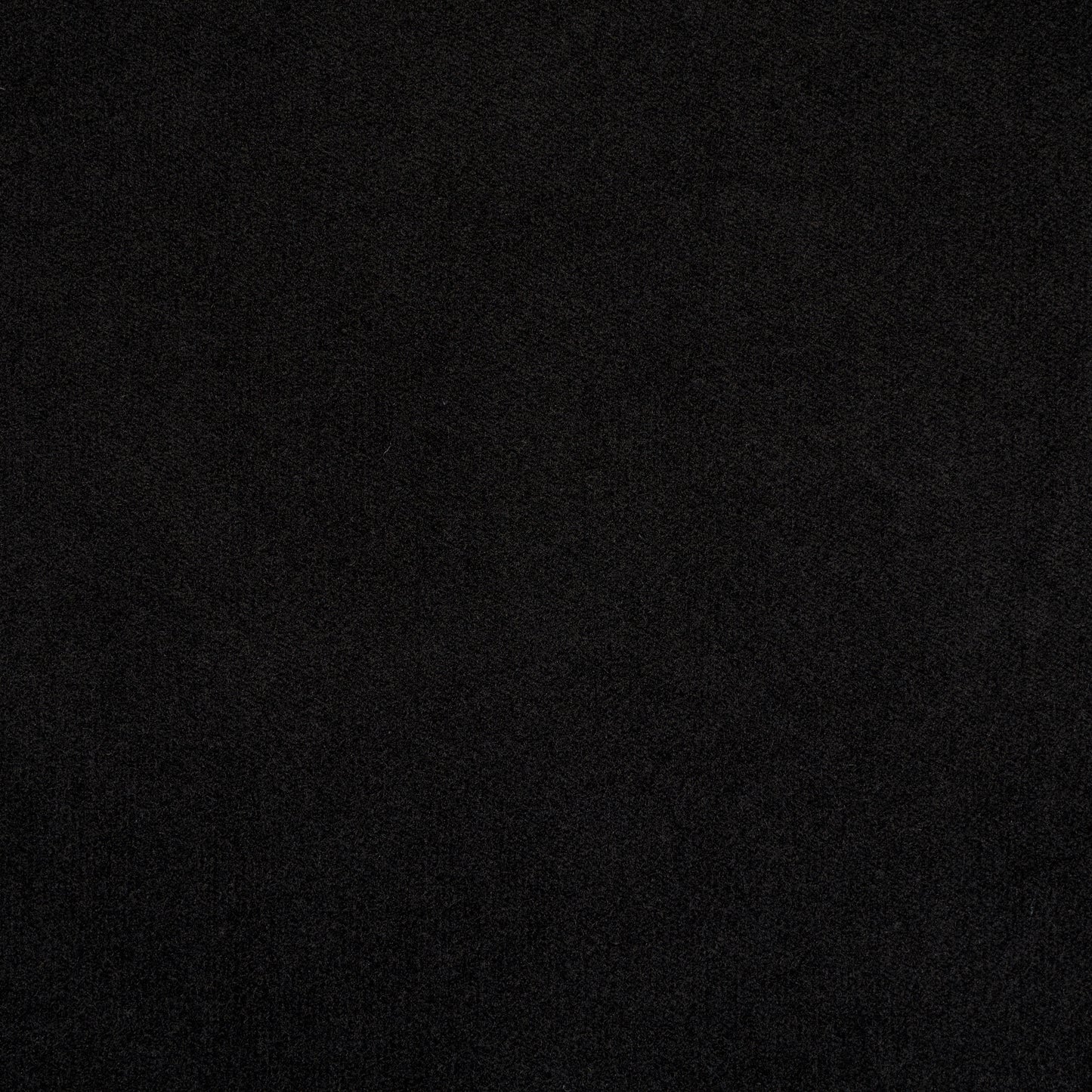 Cotton Velvet - Jet Black textile image 2