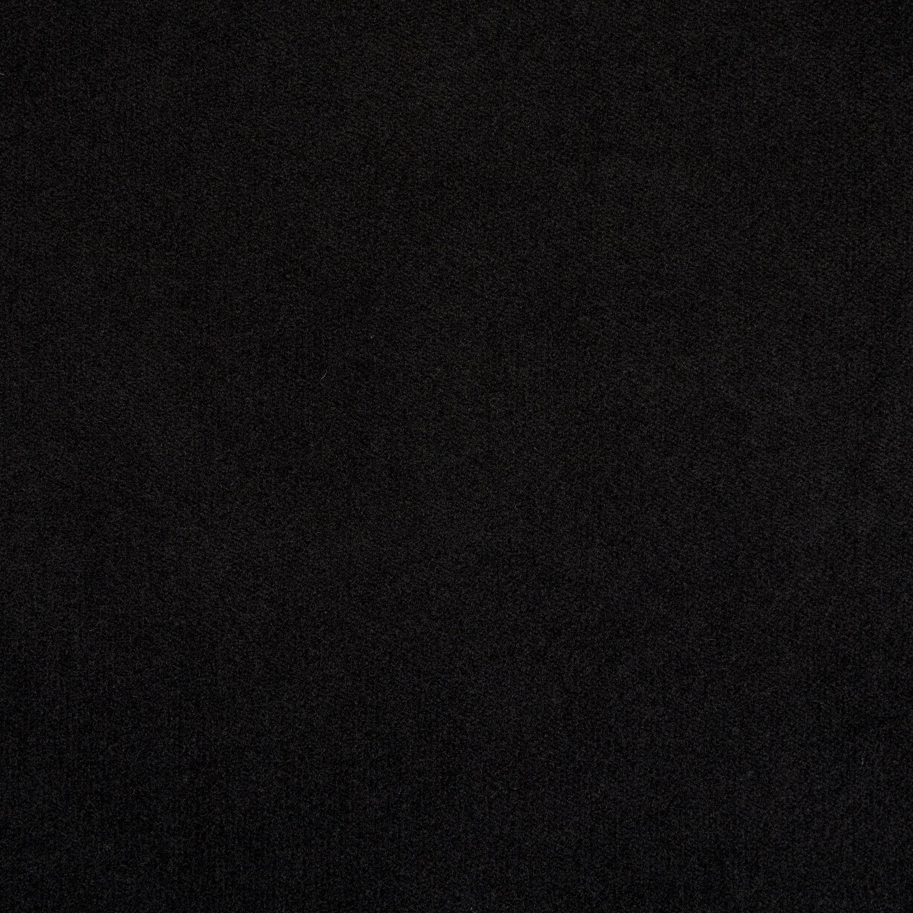 Cotton Velvet - Jet Black textile image 2